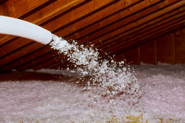 Best Cellulose Insulation  in East Brewton, AL